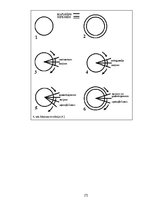 Referāts 'Šūnas dzīves cikla evolūcija Protista attīstības vēstures kontekstā', 7.