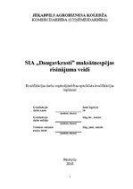 Diplomdarbs 'SIA "Daugavkrasti" maksātnespējas risinājuma veidi', 1.