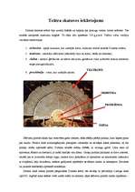 Referāts 'Senās Grieķijas teātris', 8.