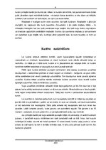 Referāts 'Kas jāiemāca sunim, lai tas neradītu draudus apkārtējiem', 6.