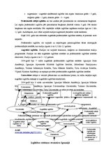 Prezentācija 'Izglītības sistēma Igaunijā', 8.