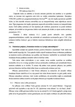 Referāts 'Fotoradaru kā satiksmes drošības ieviešanas efektivitātes analīze. Inženierproje', 29.