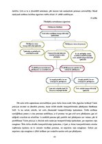 Referāts 'Fotoradaru kā satiksmes drošības ieviešanas efektivitātes analīze. Inženierproje', 43.