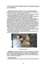 Diplomdarbs 'Izglītošanās process sportā Rīgas 45.vidusskolā 8.b klasē', 40.