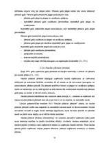 Diplomdarbs 'SIA "Uzņēmums" gada pārskata sastādīšanas analīze', 89.