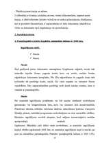 Referāts 'Fiziskās un juridiskās personas', 14.