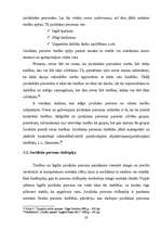 Referāts 'Fiziskās un juridiskās personas', 23.