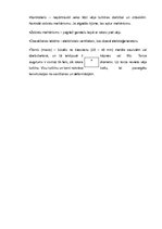 Referāts 'Vēja enerģija', 10.