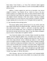 Referāts 'Bizantijas kultūras salīdzinājums ar Rietumeiropas kultūru viduslaikos', 5.