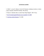 Referāts 'Bizantijas kultūras salīdzinājums ar Rietumeiropas kultūru viduslaikos', 7.