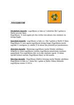 Referāts 'Noguldījumu veidi', 5.