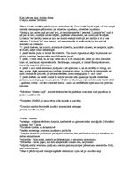 Eseja 'Kad dzērves atkal projām dodas', 1.