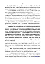 Prakses atskaite 'SIA "Priedaine N" kvalifikācijas prakse', 32.