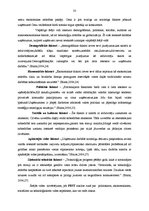 Prakses atskaite 'SIA "Priedaine N" kvalifikācijas prakse', 33.