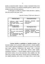 Prakses atskaite 'SIA "Priedaine N" kvalifikācijas prakse', 35.