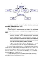 Prakses atskaite 'SIA "Priedaine N" kvalifikācijas prakse', 39.