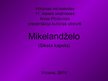 Prezentācija 'Siksta kapelas griestu gleznojumi', 1.