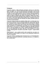 Referāts 'Daugavpils cietoksnis', 12.