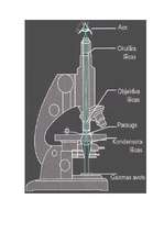 Referāts 'Mikroskops', 4.