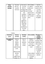 Prakses atskaite 'PII prakse 5 - 7 gadīgiem bērniem', 4.