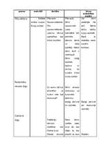 Prakses atskaite 'PII prakse 5 - 7 gadīgiem bērniem', 6.