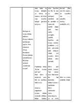 Prakses atskaite 'PII prakse 5 - 7 gadīgiem bērniem', 7.