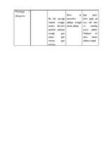 Prakses atskaite 'PII prakse 5 - 7 gadīgiem bērniem', 13.