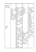 Prakses atskaite 'PII prakse 5 - 7 gadīgiem bērniem', 17.