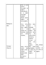 Prakses atskaite 'PII prakse 5 - 7 gadīgiem bērniem', 18.