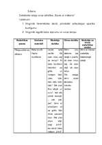 Prakses atskaite 'PII prakse 5 - 7 gadīgiem bērniem', 19.