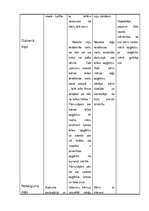 Prakses atskaite 'PII prakse 5 - 7 gadīgiem bērniem', 22.