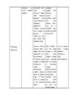 Prakses atskaite 'PII prakse 5 - 7 gadīgiem bērniem', 23.