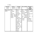 Prakses atskaite 'PII prakse 5 - 7 gadīgiem bērniem', 24.