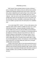 Prakses atskaite 'Rīgas komercģimnāzijas vasaras novērošanas prakses uzņēmumā "Rīgas tūrisma koord', 4.