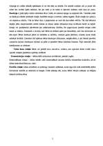 Konspekts 'Lomu rotaļas, mākslinieciskā darbība iztēles un fantāzijas attīstībai', 2.