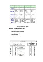 Referāts 'Konkurences veidi', 5.