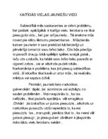 Eseja 'Kaitīgās un atkarību izraisošās vielas jauniešu vidū', 1.