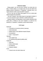 Referāts 'Viesu nama "Lejasgulbji" reklāmas kampaņas plāns', 6.