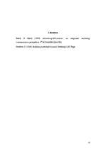 Referāts 'Viesu nama "Lejasgulbji" reklāmas kampaņas plāns', 13.