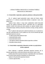 Prakses atskaite 'Grāmatvedības paņēmienu pielietojums', 5.