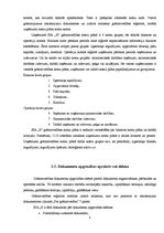 Prakses atskaite 'Grāmatvedības paņēmienu pielietojums', 8.