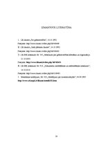 Prakses atskaite 'Grāmatvedības paņēmienu pielietojums', 20.