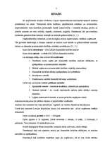 Referāts 'SIA X finansiālās darbības analīze', 3.