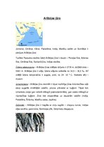 Konspekts 'Arābijas jūra', 1.