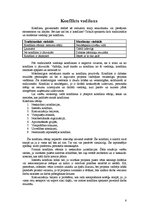 Referāts 'Konfliktu vadīšana', 6.