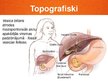 Prezentācija 'Akūts holecistīts', 2.