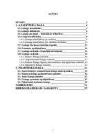 Referāts 'Līzings', 1.