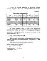 Referāts 'Līzings', 46.