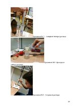 Referāts 'Фастфуд - опасный соблазн 21 века', 24.