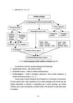 Diplomdarbs 'Pedagoģiskā konflikta cēloņi un risināšanas iespējas X speciālajā internātskolā ', 32.